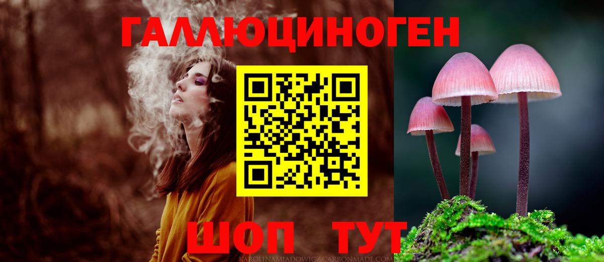 Новосибирск  где найти наркотики  Псилоцибиновые грибы Psilocybe  Вход с VPN  Псилоцибиновые грибы мицелий 